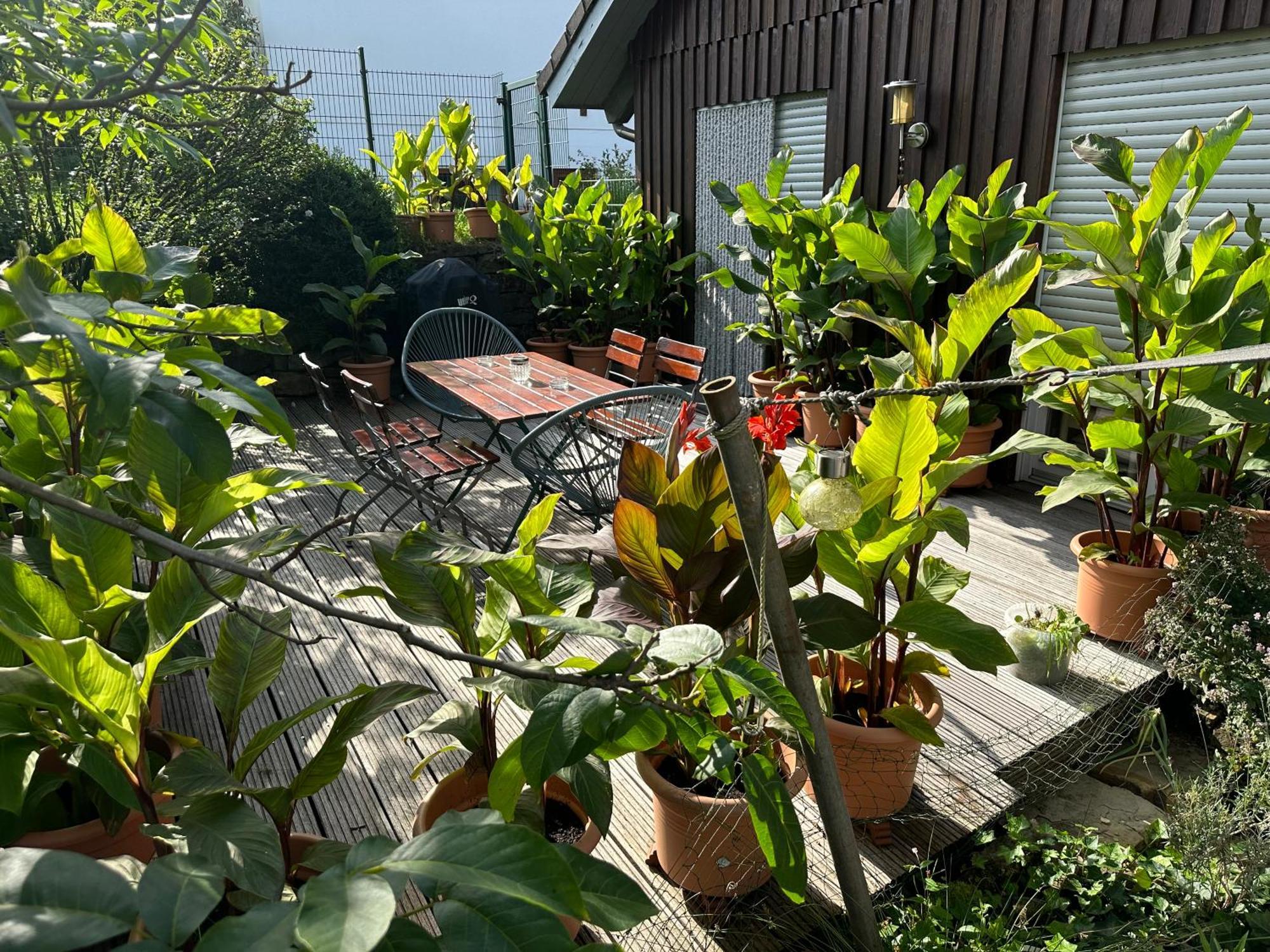 Apartment Wiehler- *